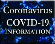 Coronavirus web site
